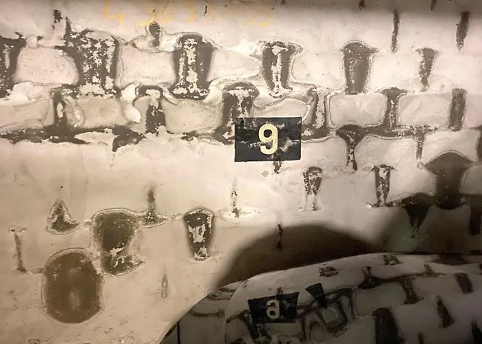 Lägenhet Hypercentre 4 Personnes 30 M2